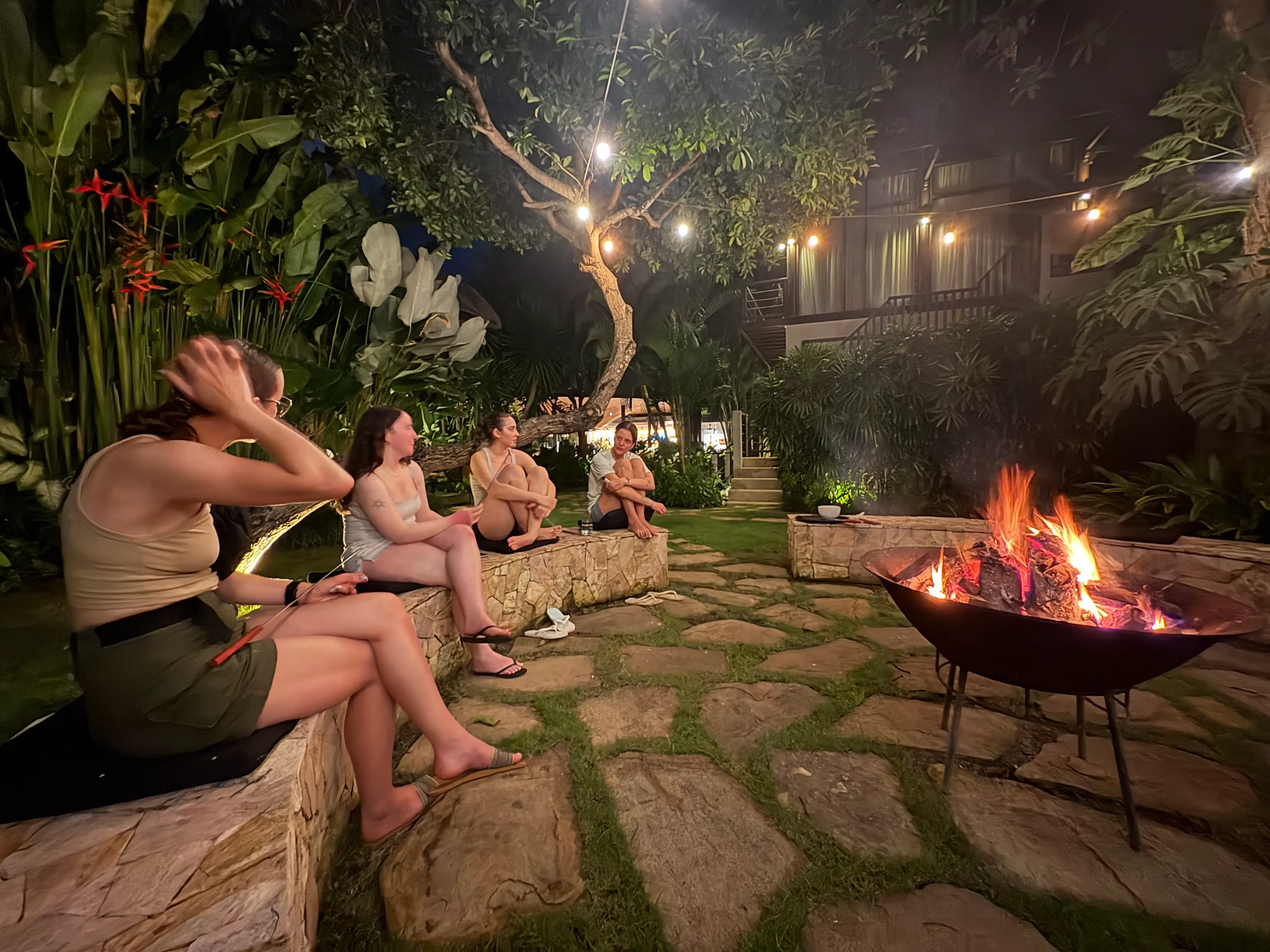 bonfire and marshmallow night