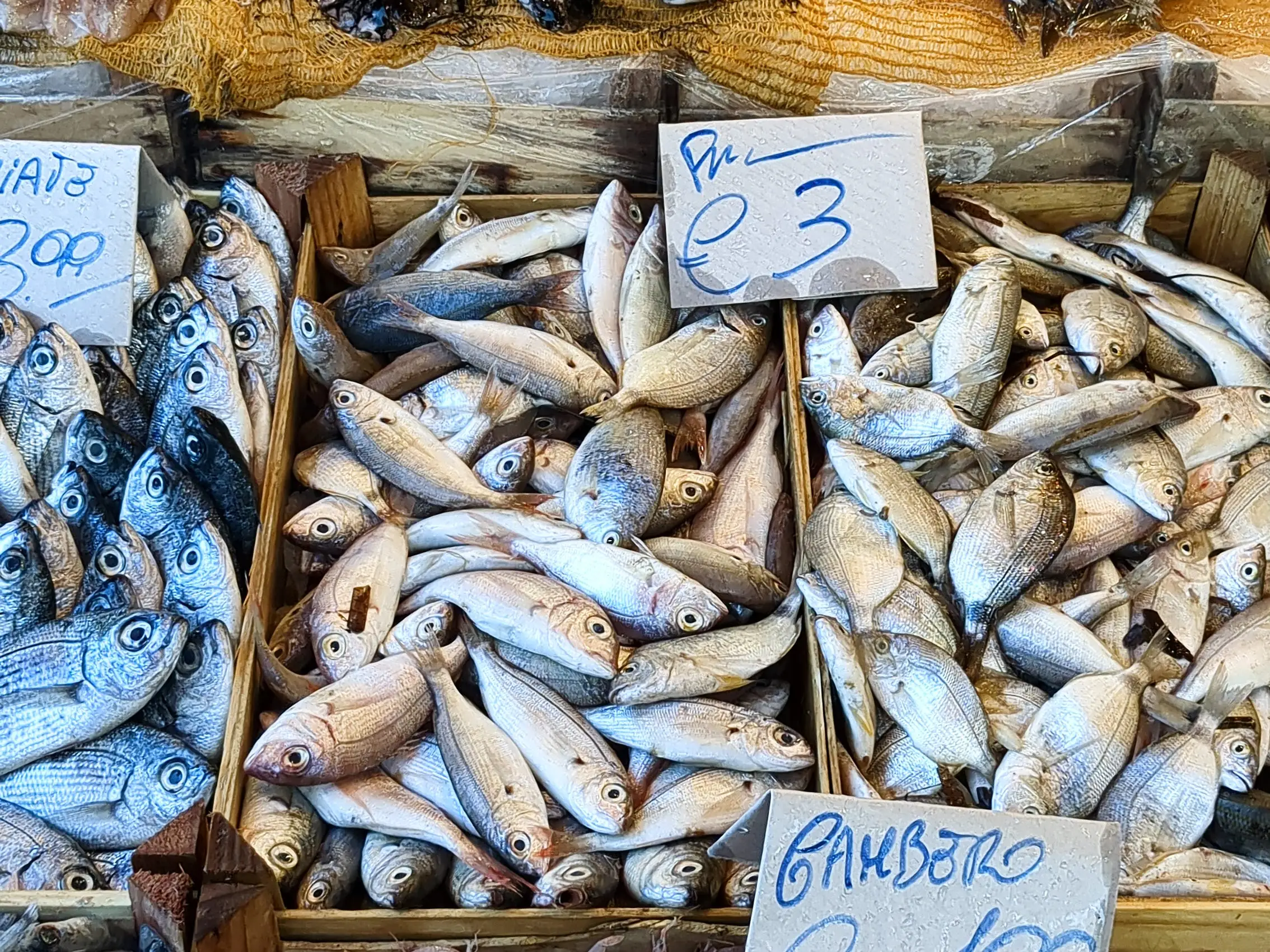fresh fish at market