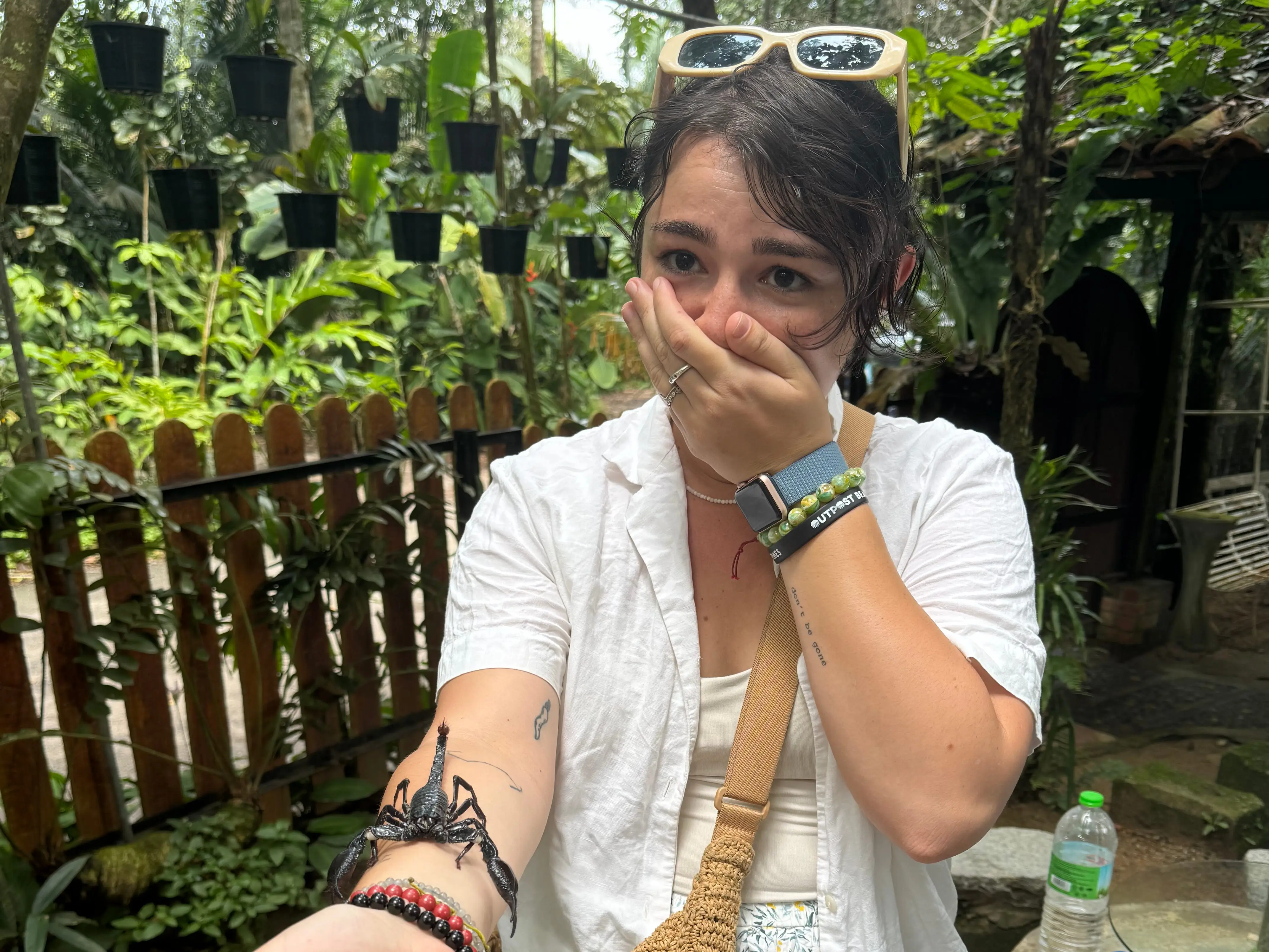 Scorpion on a woman's arm in Penang Hill, Malaysia.