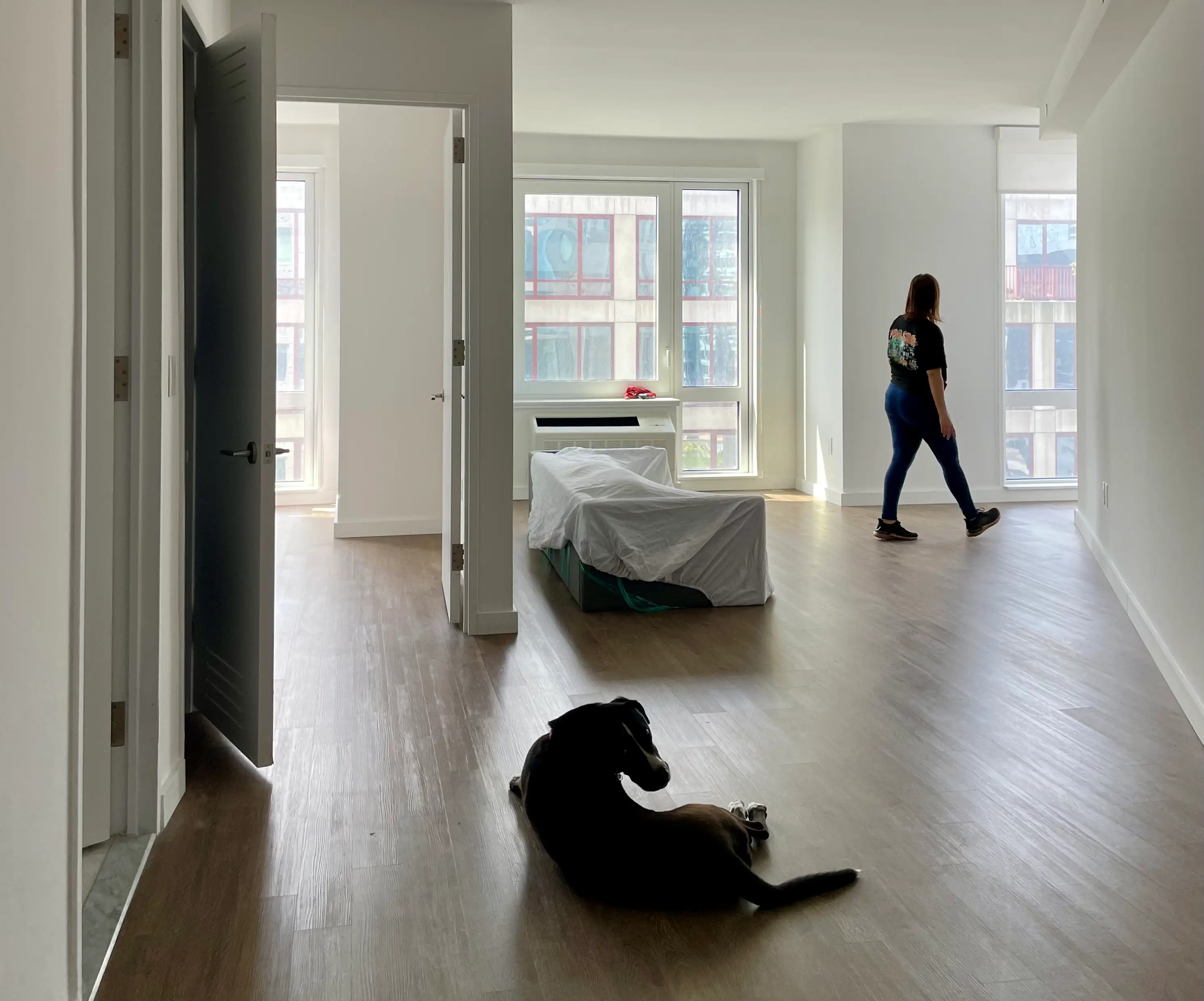 dog on floor of apartment with person walking in background