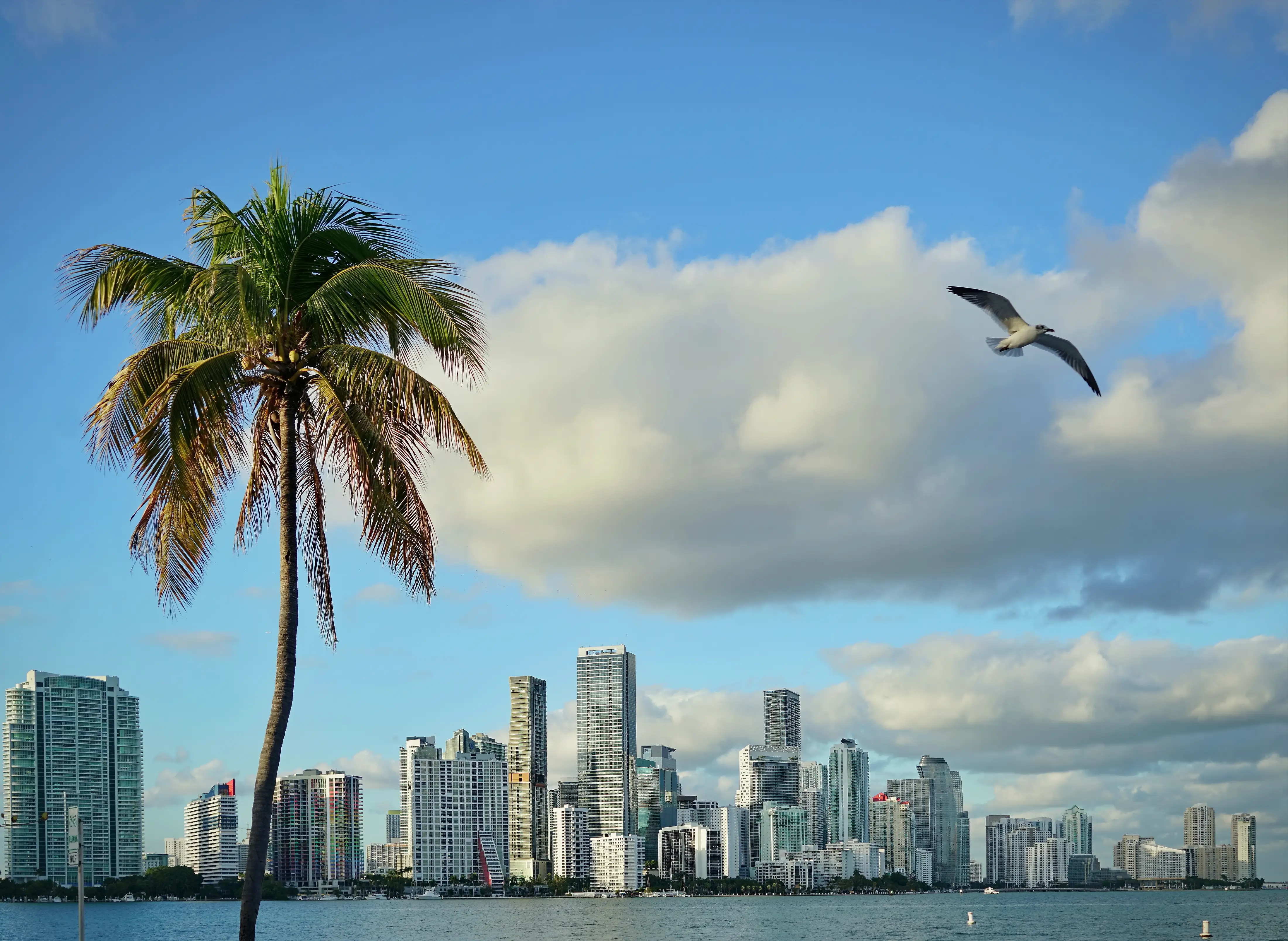 Miami brickell skyline