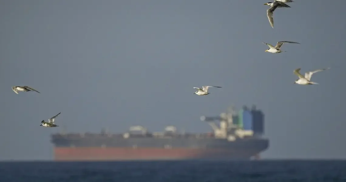 US-Iran ceasefire brings little relief as Hormuz shipping barely moves