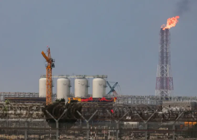 Goldman warns of ‘very painful’ natural gas shock that could rival oil crisis