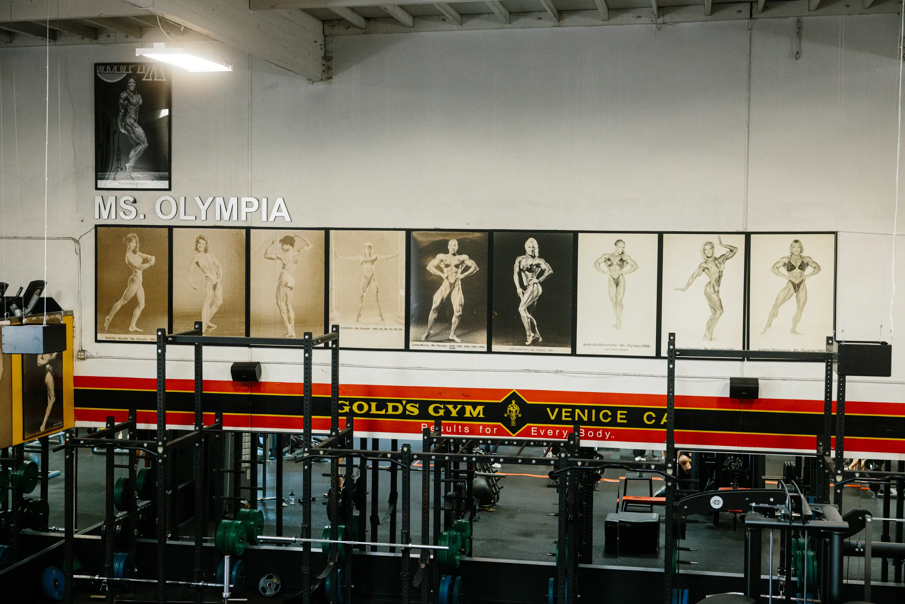 Photos of the winners of Ms. Olympia, female bodybuilding's most prestigious competition, from 1980 to early 2000s adorn one of the walls at Gold's Gym in Venice, California
