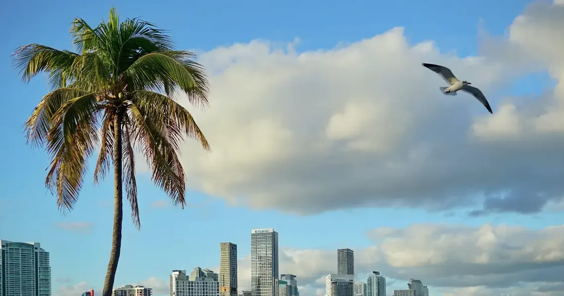 Where have all the Miami portfolio managers gone?