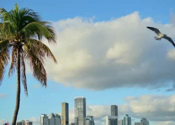 Where have all the Miami portfolio managers gone?