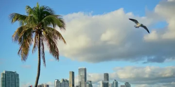 Where have all the Miami portfolio managers gone?