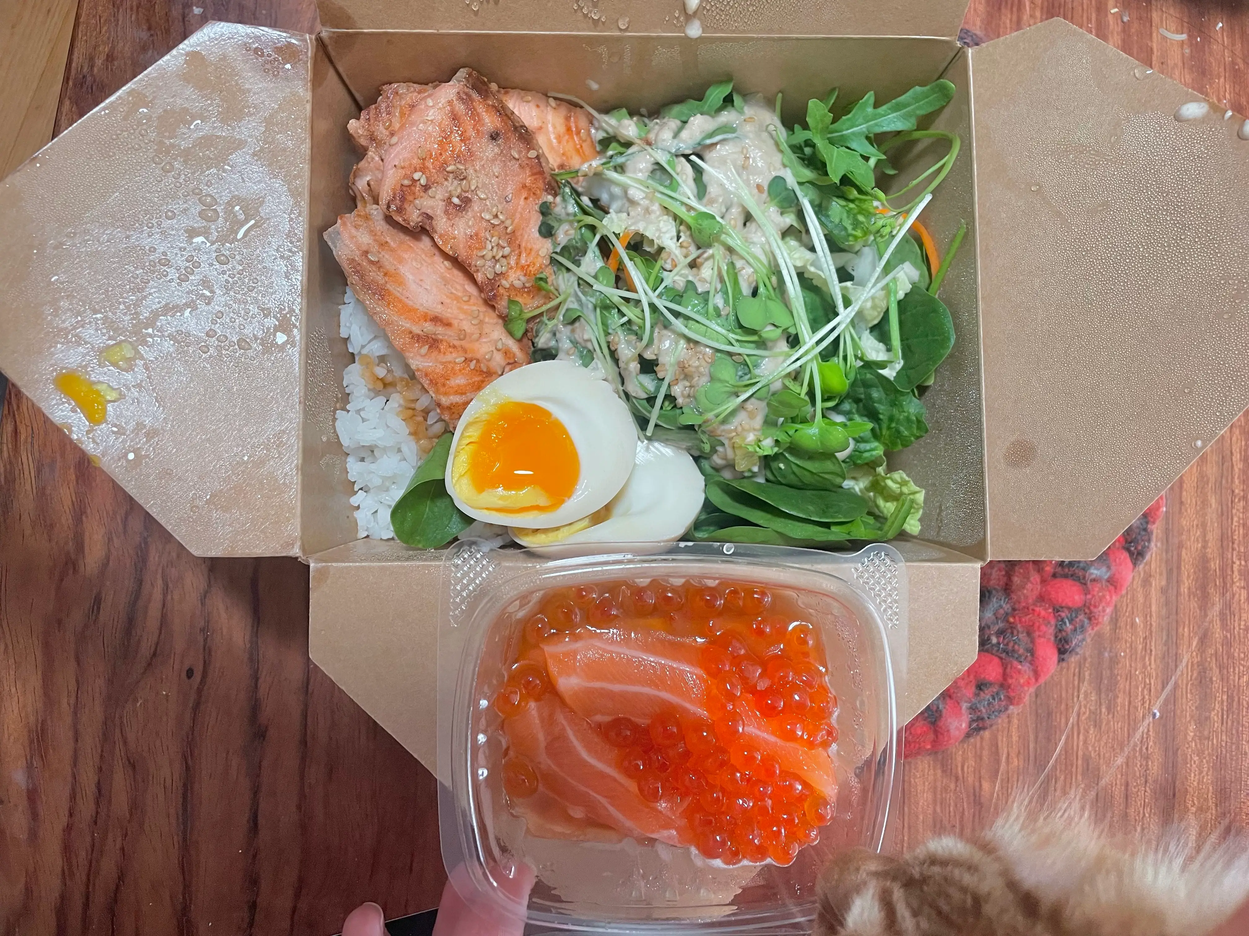 Bento box with salmon
