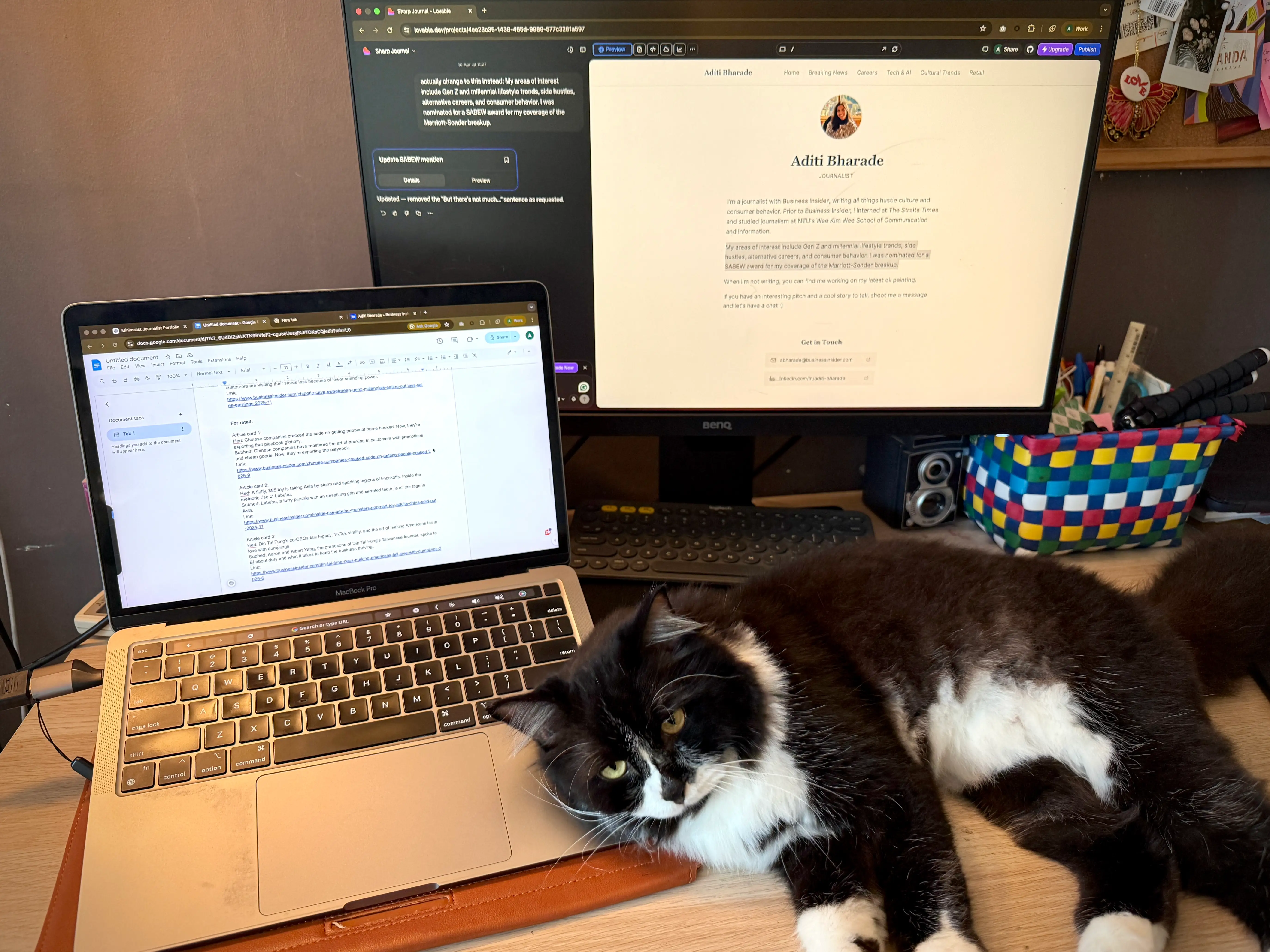 My vibe-coded website on my monitor and my cat.