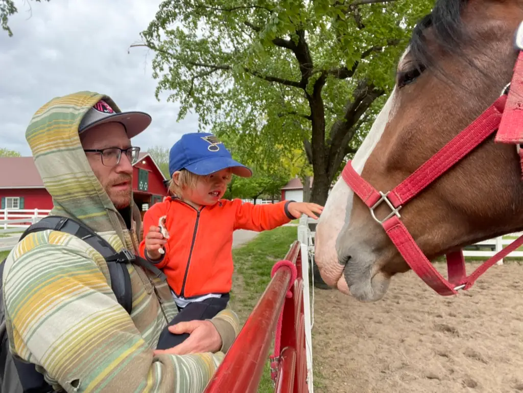 Boy petting horse