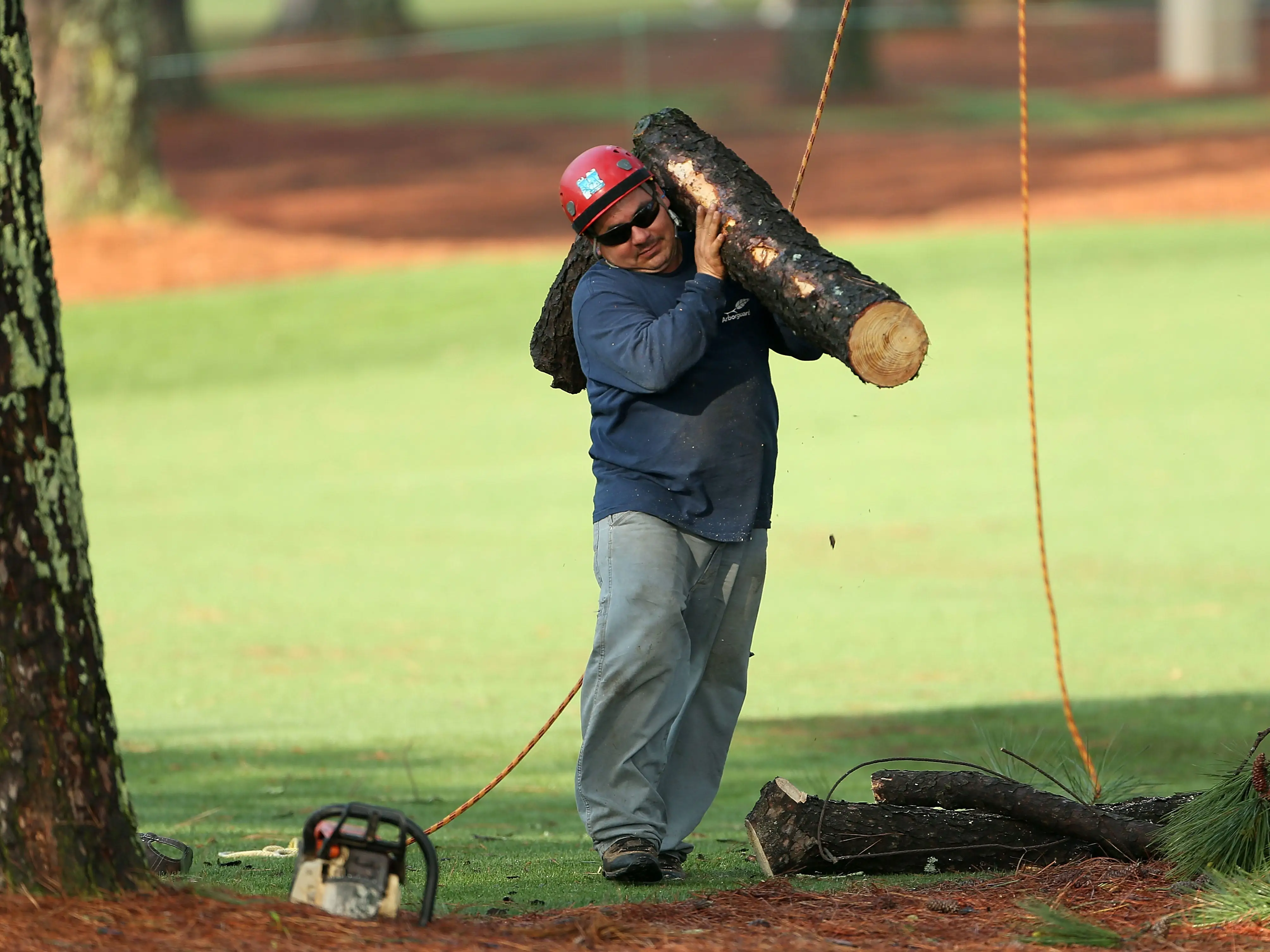 A worker in a hard hat carries a tree limb.