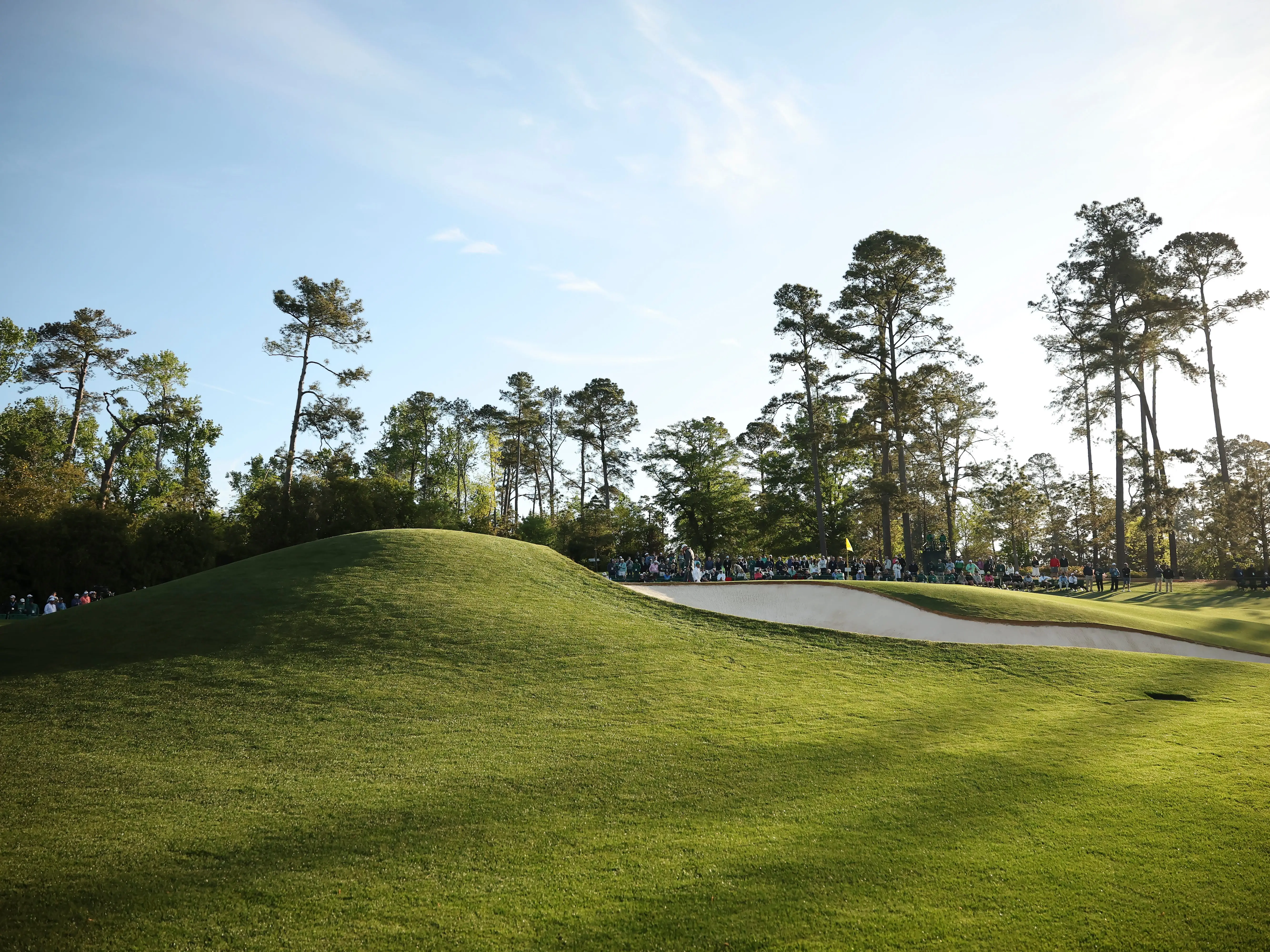 Masters green with trees in the background.