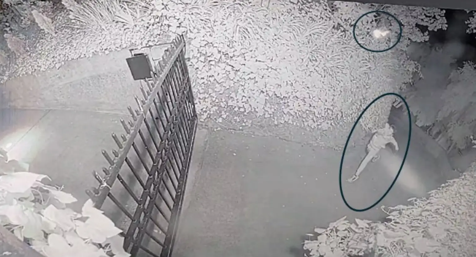 Daniel Moreno-Gama on security footage.