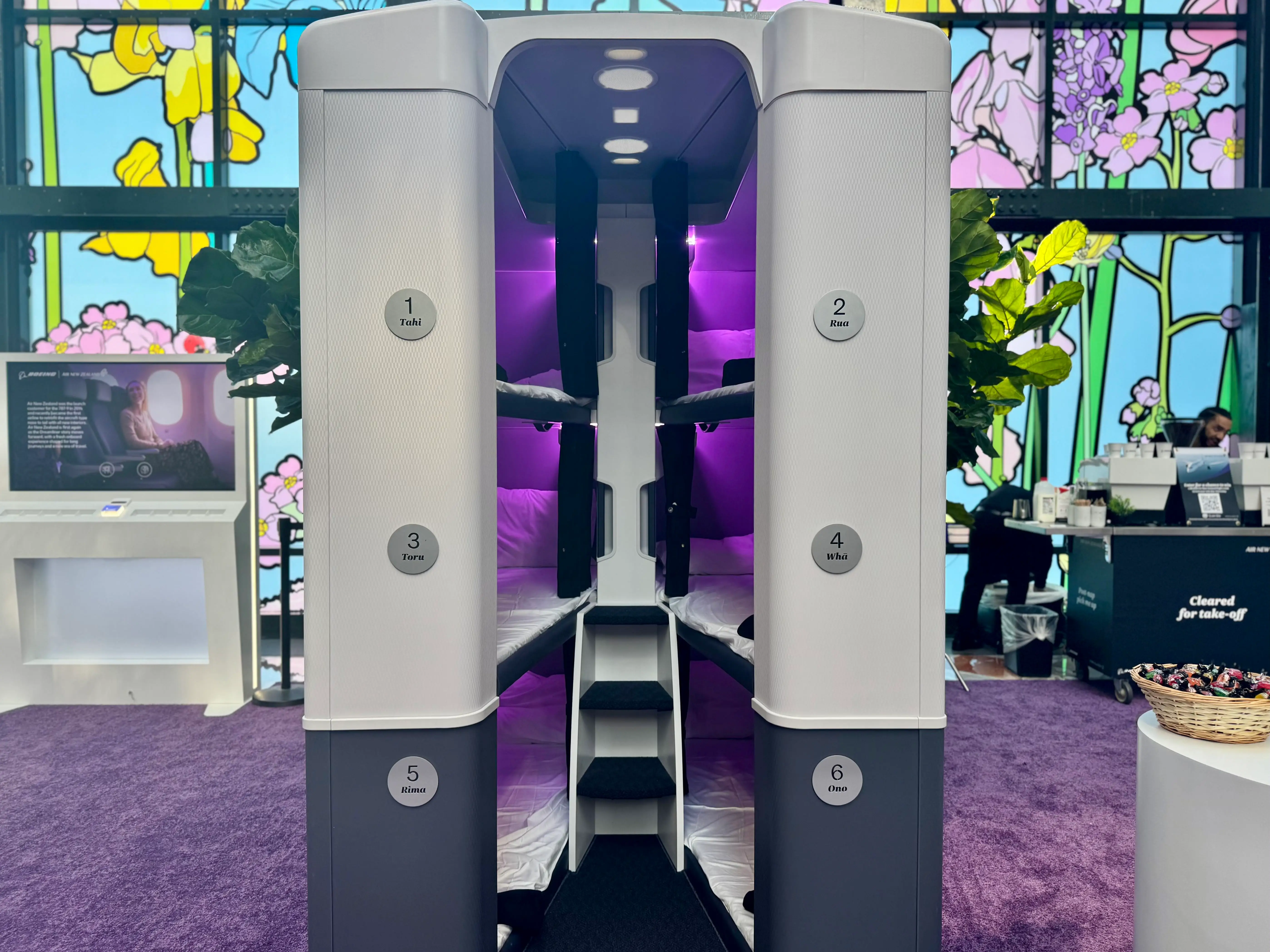 Air New Zealand's Skynest.