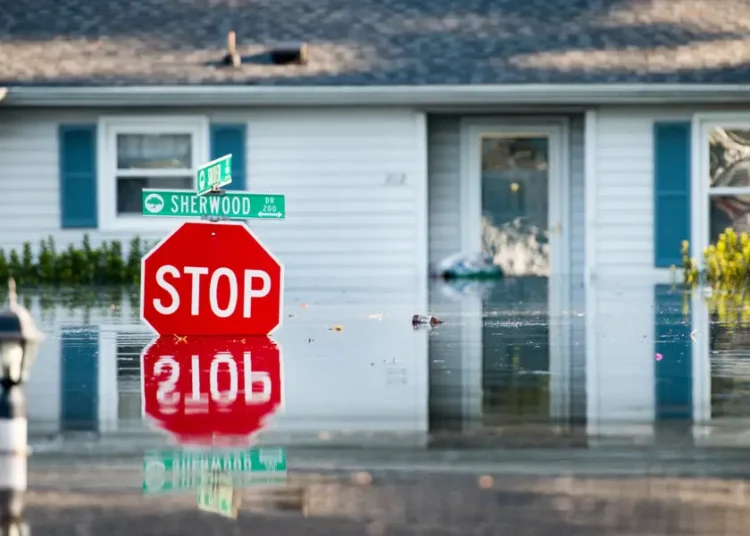 Kyle, Teddy, and Nana: Here’s what hurricanes will be named in 2026