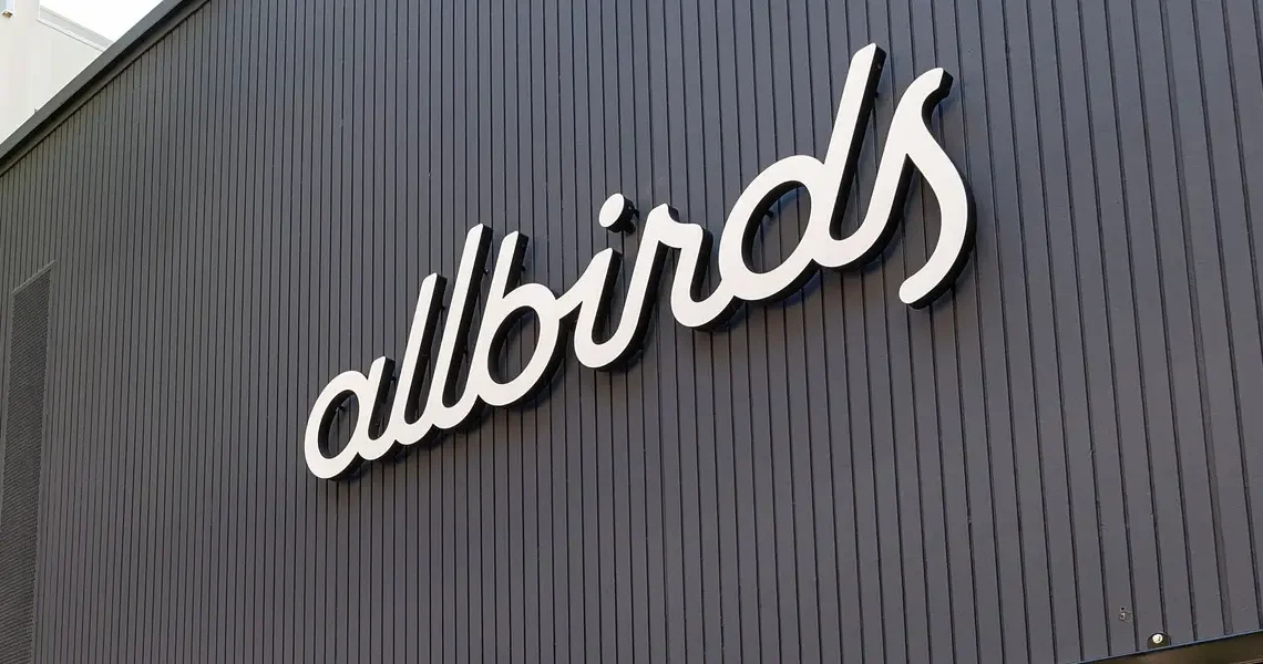 Allbirds was founded with a focus on environmental conservation. Its pivot to AI is leaving that behind.