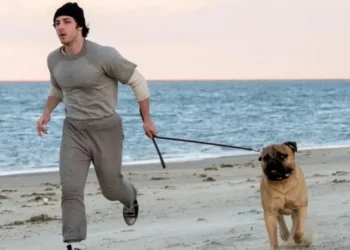 Forget franchises: these 12 movies stole the show at CinemaCon