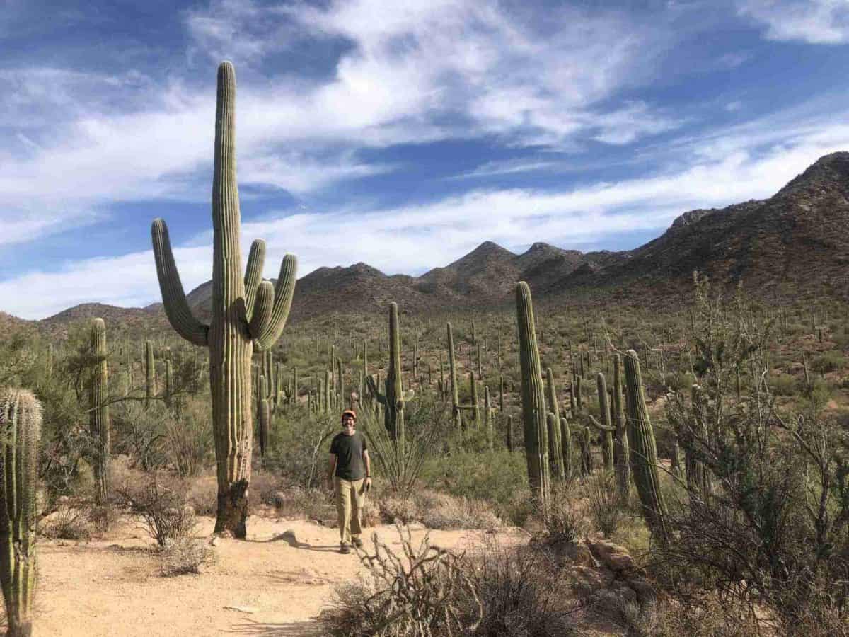 Scott stands next to giant cacti in Saguaro National Park.
