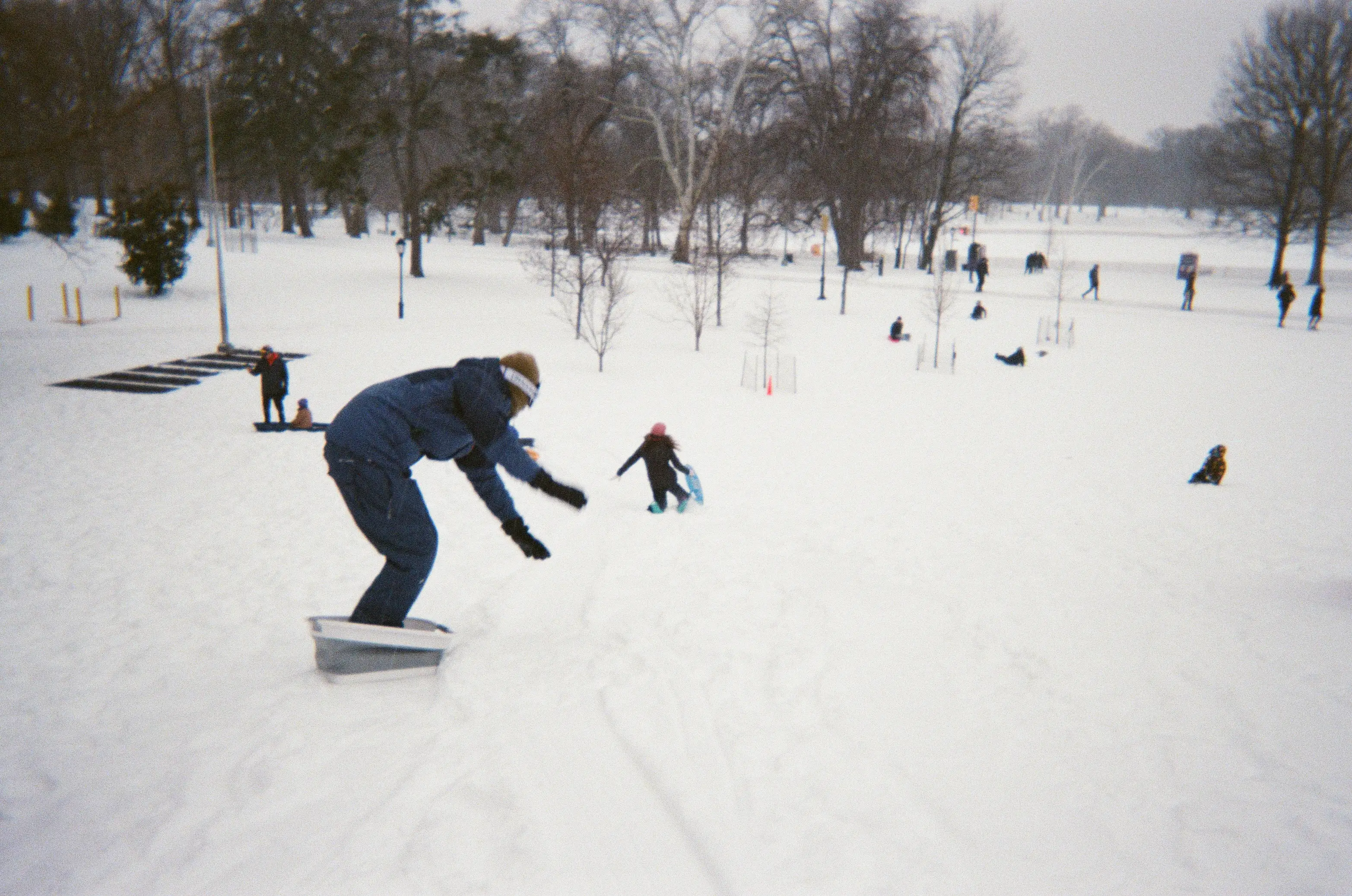 People sledding in Prospect Park