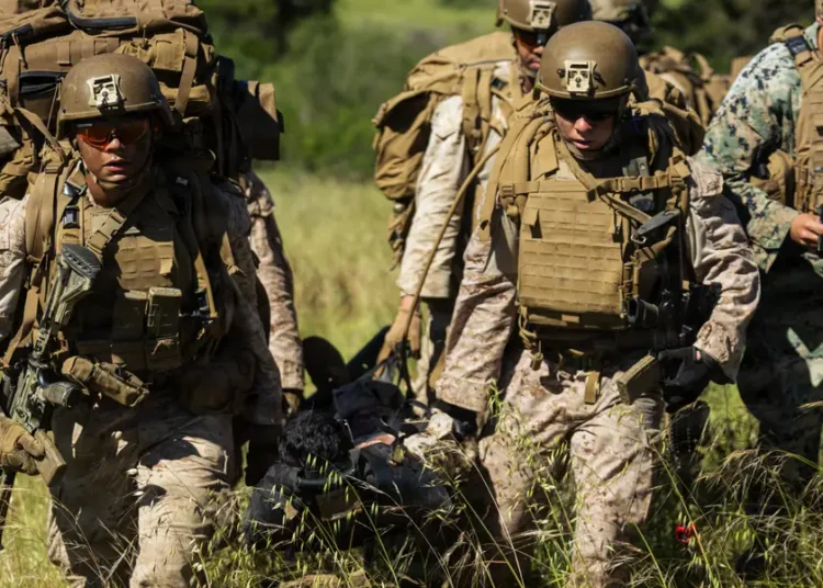 DARPA says its powdered blood for future warfare works in animals. Now comes the hard part.