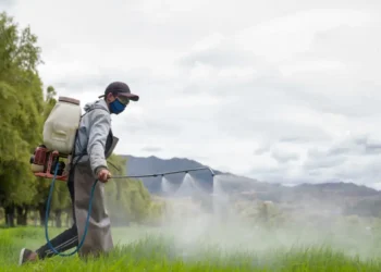 Why are young people getting colon cancer? A common weed killer may be linked, scientists say