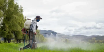 Why are young people getting colon cancer? A common weed killer may be linked, scientists say