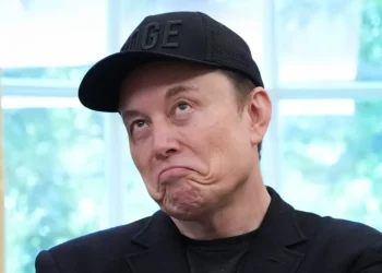 Elon Musk says government checks for all wouldn’t spike inflation. Economist Steve Hanke says that’s not guaranteed.