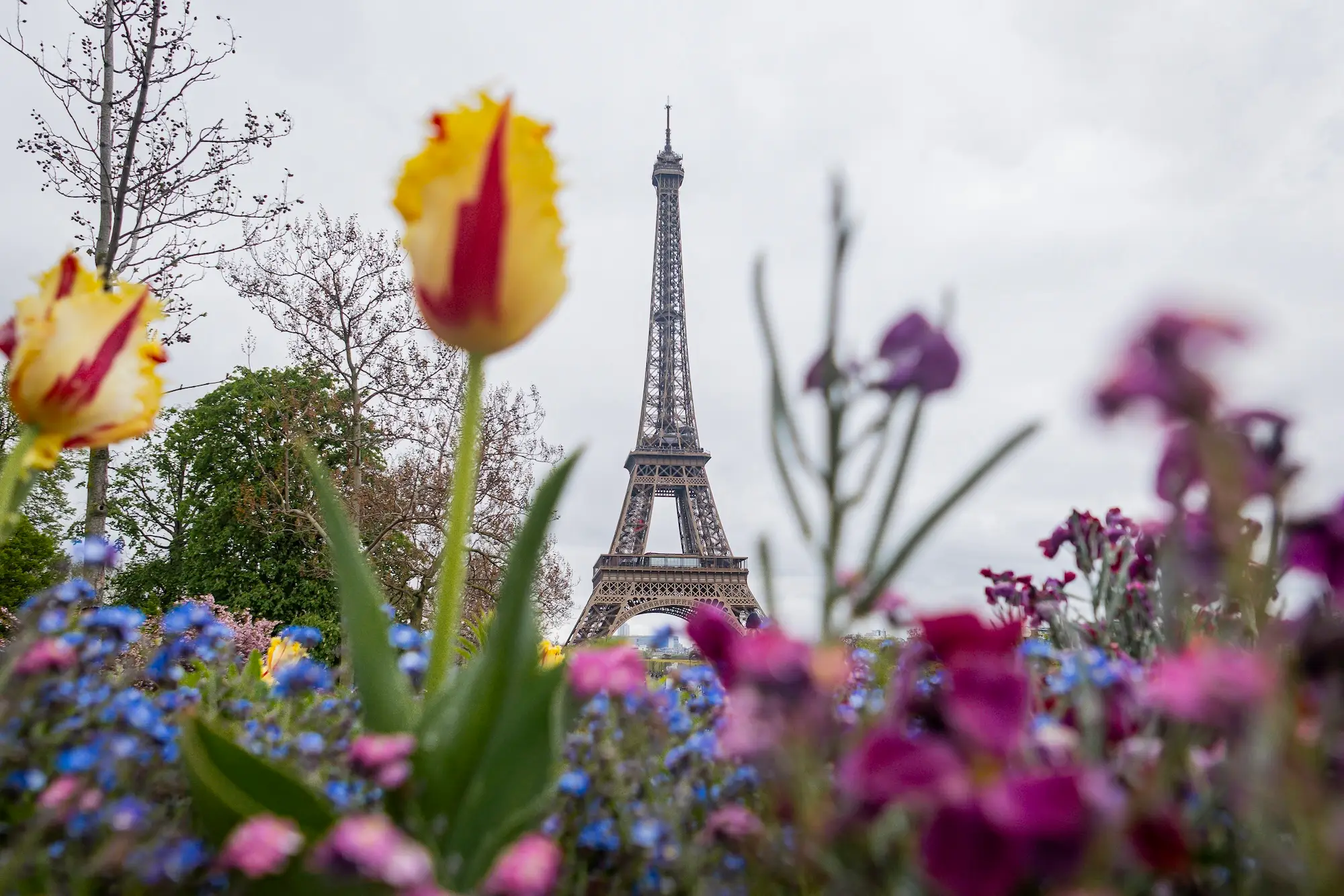 The Eiffel Tower in Paris