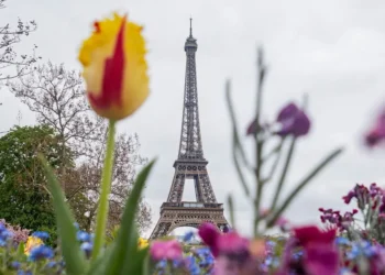 $119 Polymarket bet on Paris’ weather turns into $21K after unusual temperature spike, sparking official probe