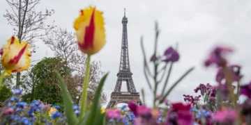 $119 Polymarket bet on Paris’ weather turns into $21K after unusual temperature spike, sparking official probe