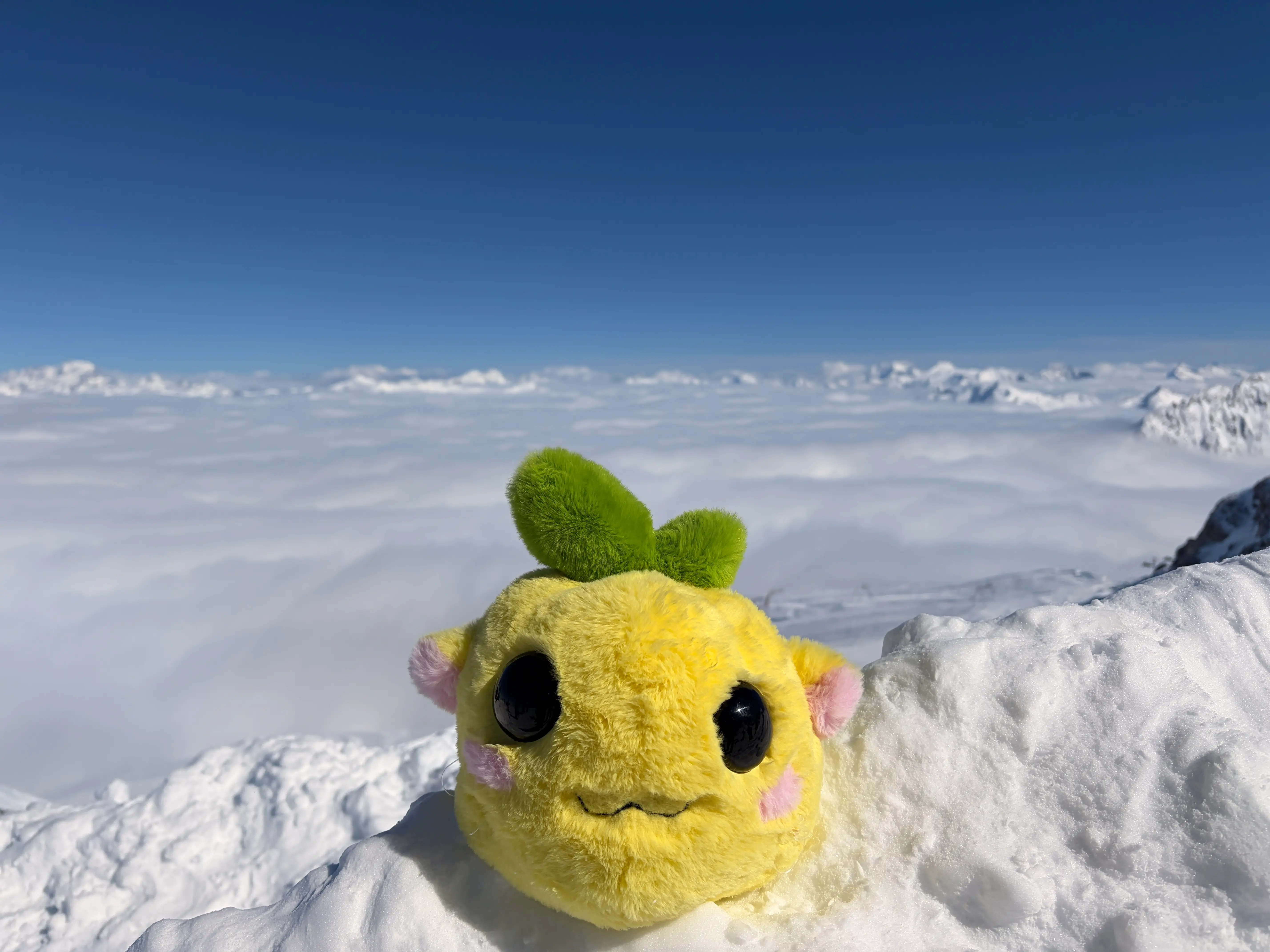 Emy, a yellow plush toy, is on the peak of a snowy mountain against a blue, sunny sky.
