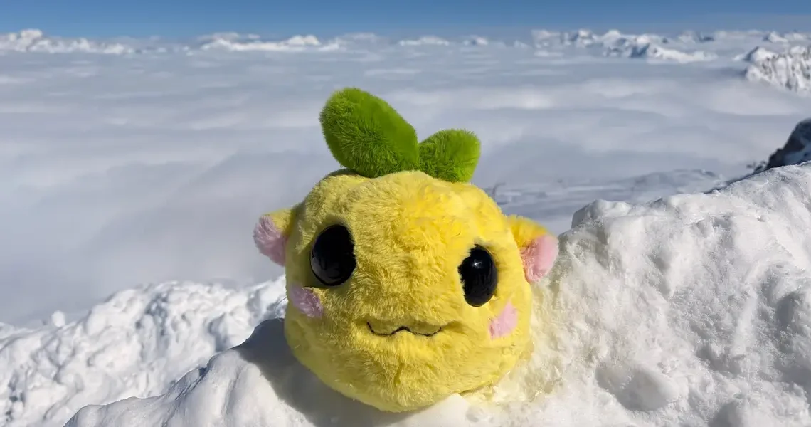 There’s a new ugly little toy winning the internet