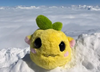 There’s a new ugly little toy winning the internet