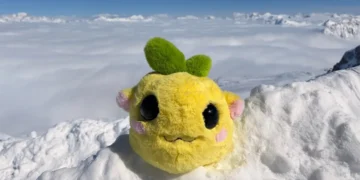 There’s a new ugly little toy winning the internet