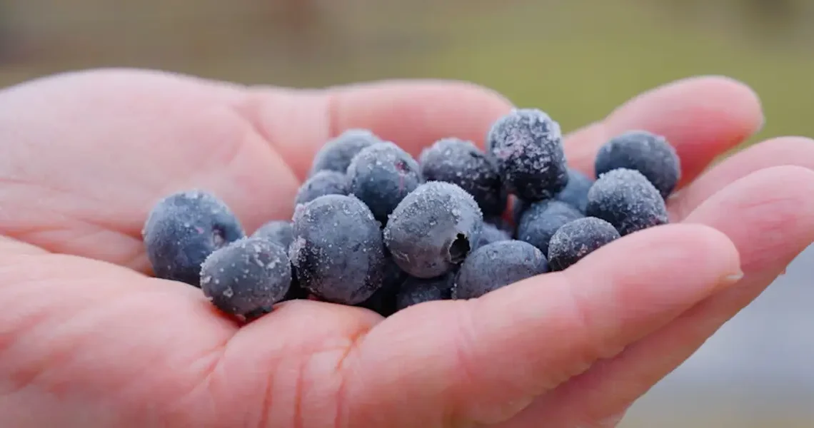 Should organic food be so expensive?