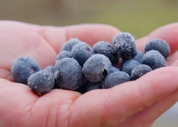 Should organic food be so expensive?