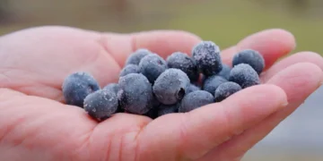 Should organic food be so expensive?