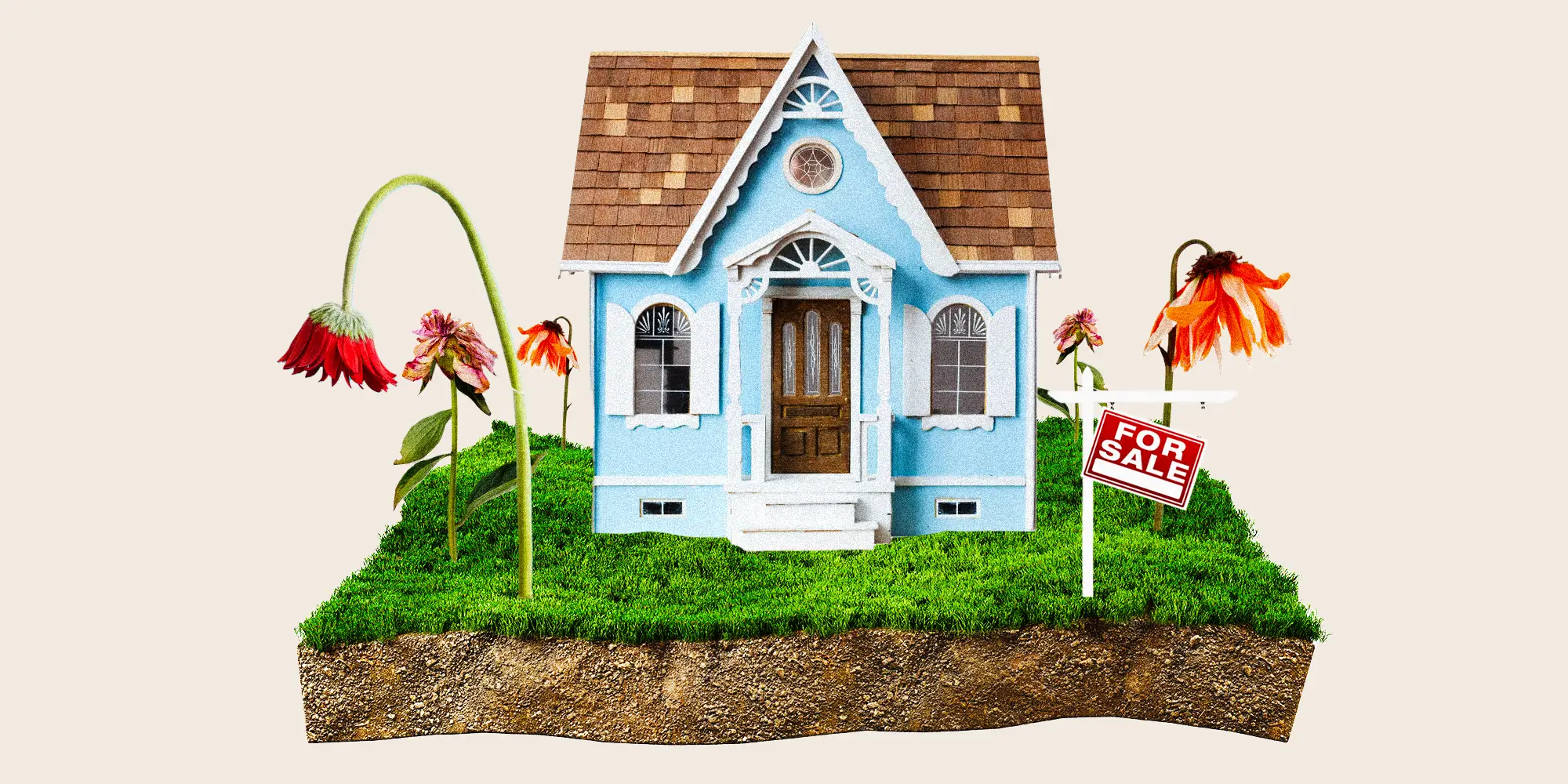 A home sitting on a square piece of land with dead flowers