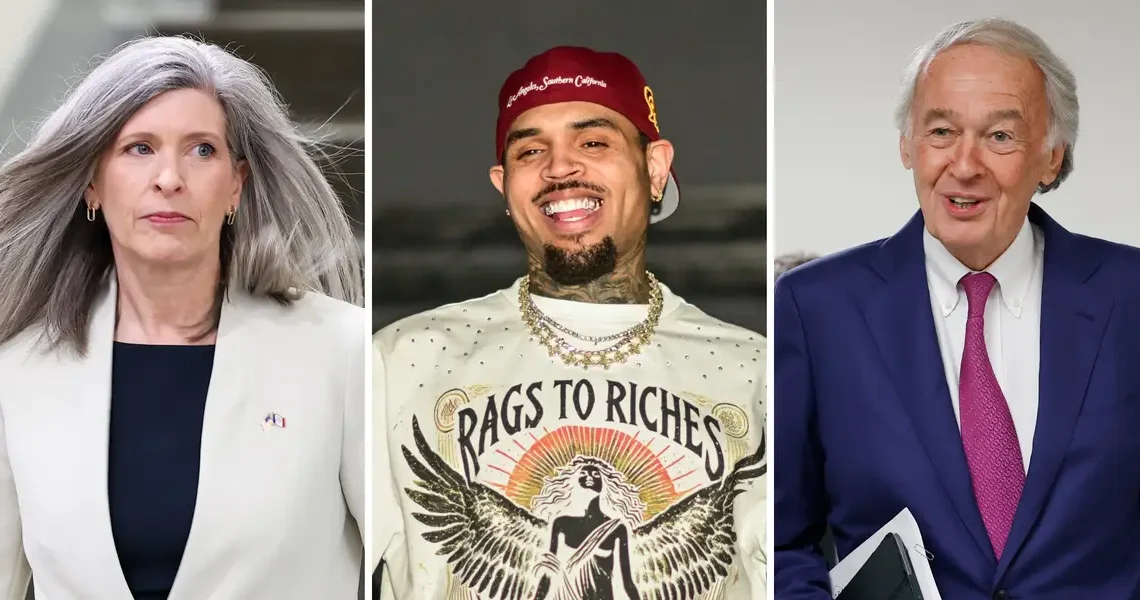 Senator pushes pandemic-era fraud bill forward, citing Business Insider’s report on Chris Brown’s taxpayer-funded birthday party