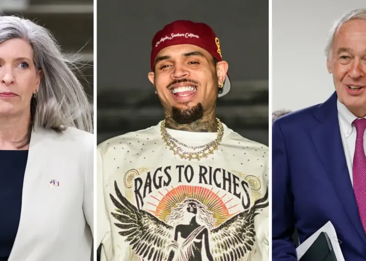 Senator pushes pandemic-era fraud bill forward, citing Business Insider’s report on Chris Brown’s taxpayer-funded birthday party