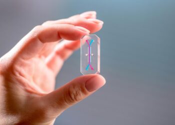 A tiny experiment using Artemis II astronaut cells could reshape medicine