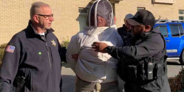 Beekeeper Filmed Unleashing a Swarm of Bees on the Cops Trying to Evict Her