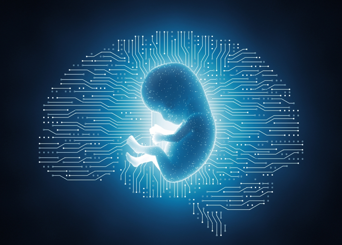 Why This Startup Wants to Make Brainless Human Clones