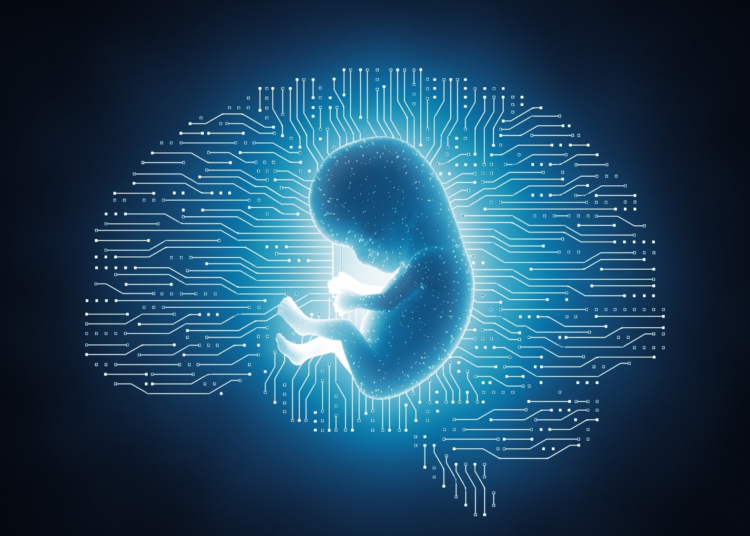 Why This Startup Wants to Make Brainless Human Clones