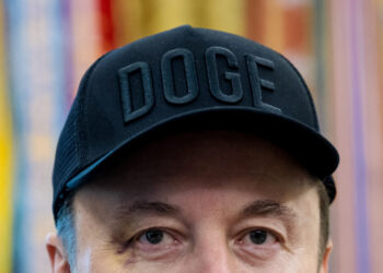 New disclosures reveal how DOGE actually worked