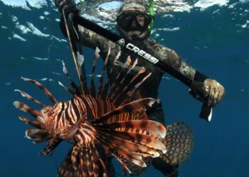 Can you profit off nature without destroying it? These venture capitalists are betting on it.