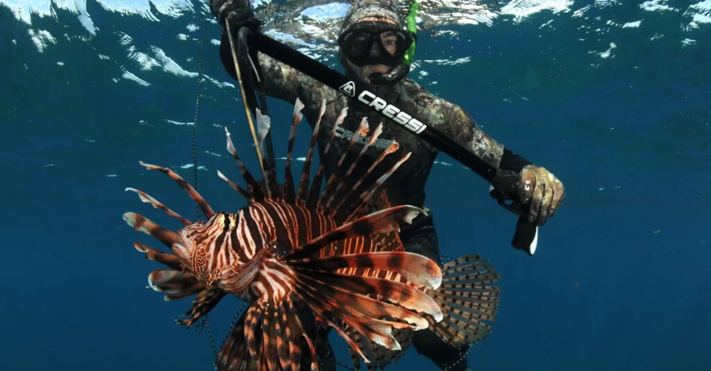 Can you profit off nature without destroying it? These venture capitalists are betting on it.