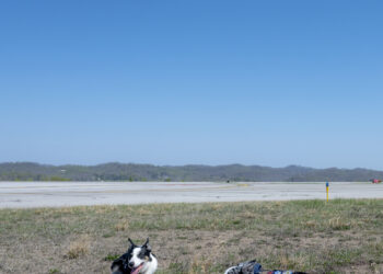 The hardest working staff at the airport? These two good boys.