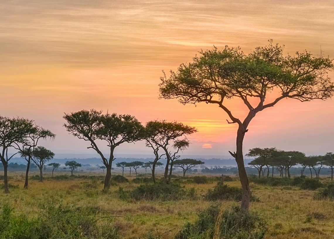 Africa Is Breaking Apart Faster Than Scientists Thought. Now What?