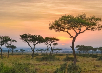 Africa Is Breaking Apart Faster Than Scientists Thought. Now What?